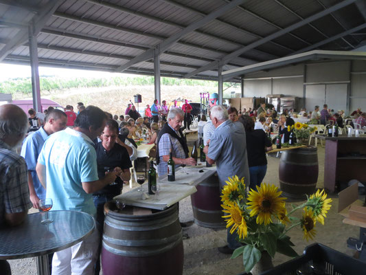 Un dimanche au vignoble