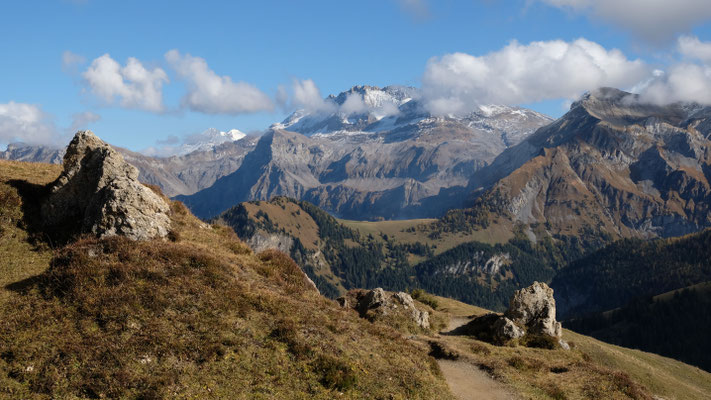 Auf dem Rückweg