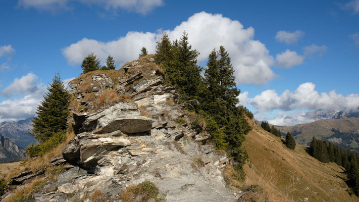 Kleine Kletterpartie beim Weg über das Leiterli