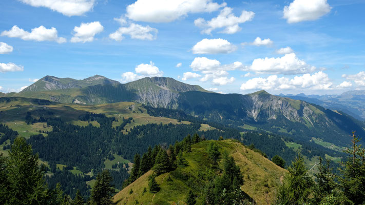 Lauenenhorn, Giferspitz, Wistätthorn, Flöschhorn