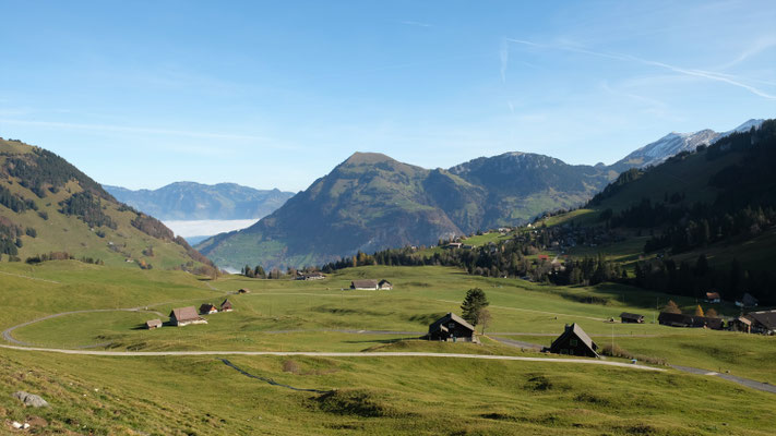 Blick zum Buochserhorn 