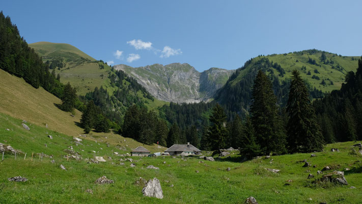 Alp les Baudes mit Vanil noir im Hintergrund