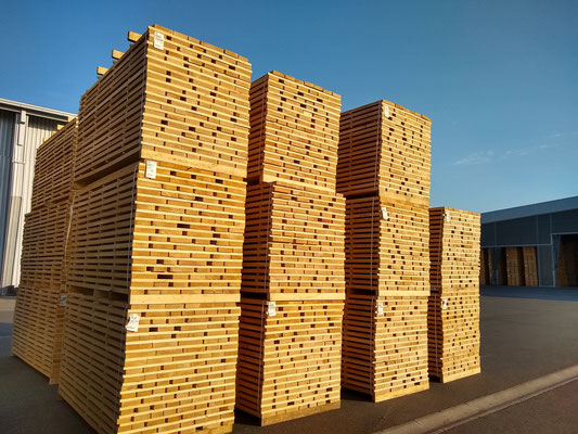 Perfectly stacked AD slavonian Oak ready to go into the kilns at auric's yard
