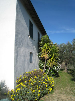 Dolceacqua FranzIt
