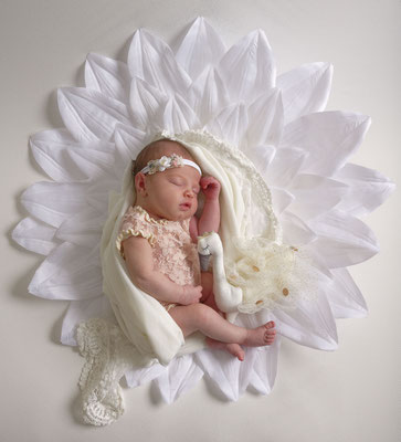 Newborn Shooting