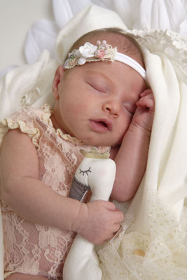 Newborn Shooting