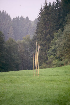  1988-11 Wasserzeichen. Auftragsarbeit für die Landesgartenschau Straubing 1989