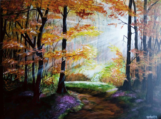 Chemin sous bois