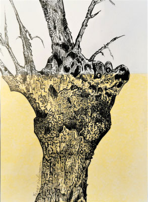 REGARDS 20  -  Dessin à l'encre