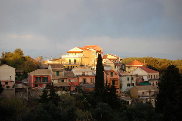 Avliotes