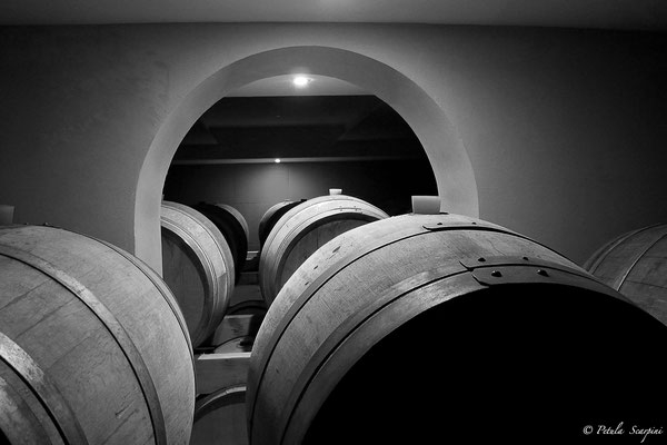 Carte Loisirs 66 réductions vins Dom Brial