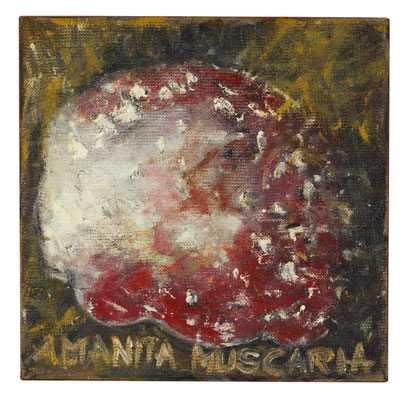 Amanita Muscaria 20/20
