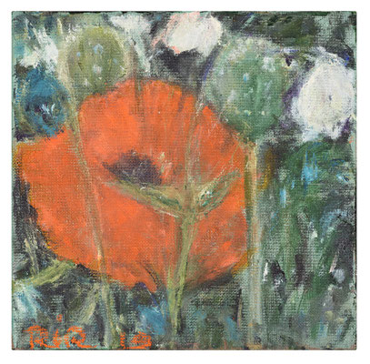 Mohn 20/20