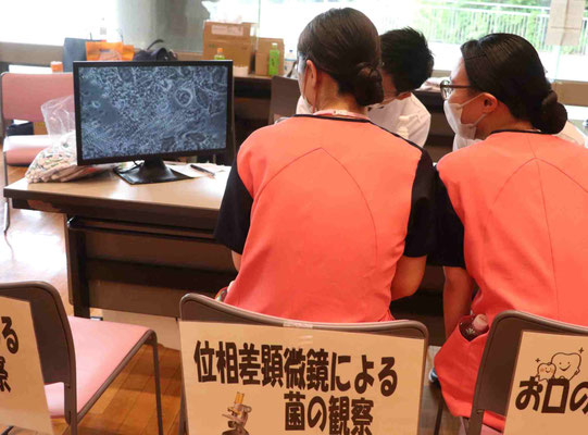 位相差顕微鏡による菌の観察