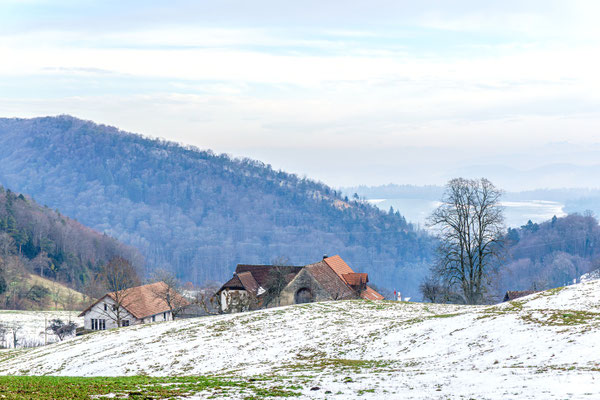 Barmelhof