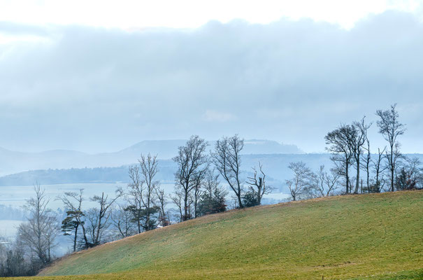 Im Hintergrund der Farnsberg