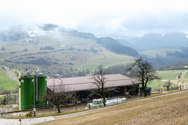 Der besagte Kuhstall in Oberhof (siehe den 4. Februar)