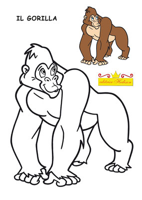 gorilla disegno zoo colora libro roberto dell'agnello favole disegni illustrazioni 