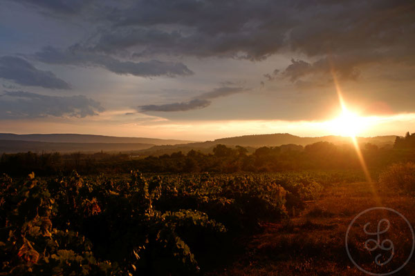 Coucher de soleil sur les vignes alentours - vers Gargas, Provence (Vaucluse), Septembre 2019