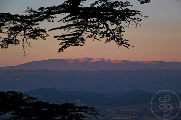 Mont Ventoux rouge - Bonnieux, Provence (Vaucluse), Décembre 2019