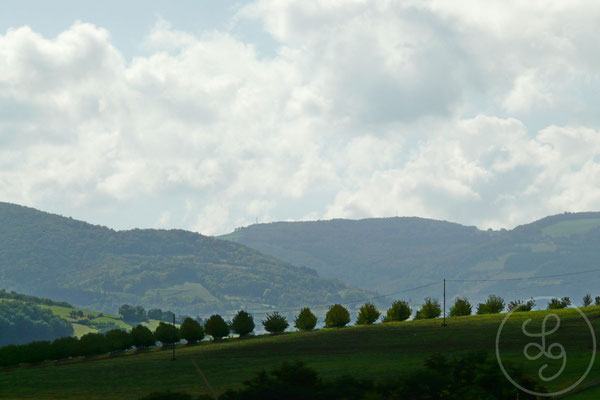 Alignement d'arbres - France, Octobre 2009