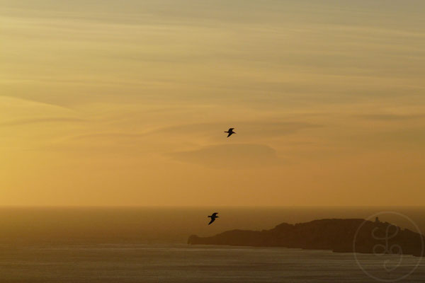 Depuis Notre Dame de la garde - Marseille, Décembre 2008