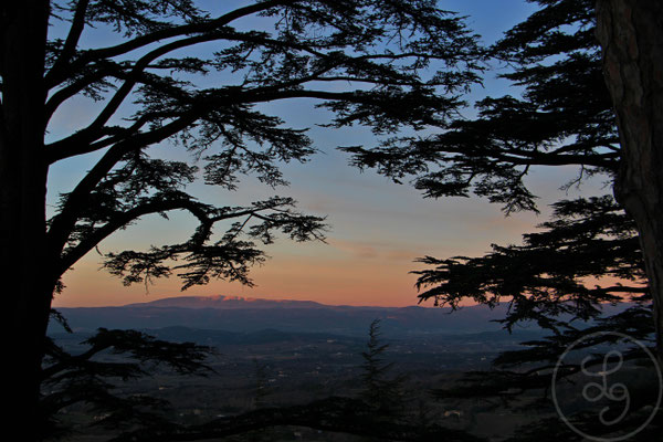 Mont Ventoux rouge - Bonnieux, Provence (Vaucluse), Décembre 2019