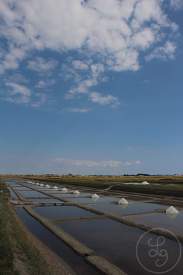 Marais salants - Noirmoutiers (Vendée), Juillet 2018