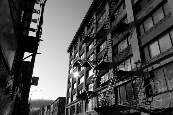 Façade et escaliers - Montréal (Canada), Décembre 2011