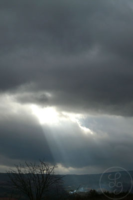 Trouée de lumière - vers Gargas, Provence (Vaucluse), Décembre 2009