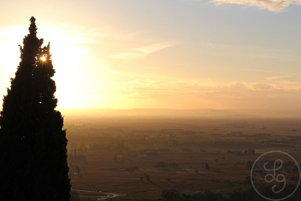 Cyprès avec vue - Séguret (Vaucluse), Novembre 2012