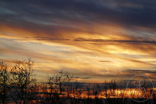 Coucher de soleil depuis ma fenêtre 3 - Montauban (Tarn-et-Garonne), Décembre 2008