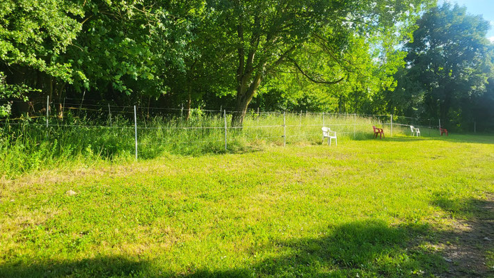 4 Einzelpaddocks 1 Doppelpaddock (auf Wunsch mit Weidestrom) 