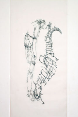 Same same but different, 2012, Farbstift auf Transparentpapier, 222 x 91 cm