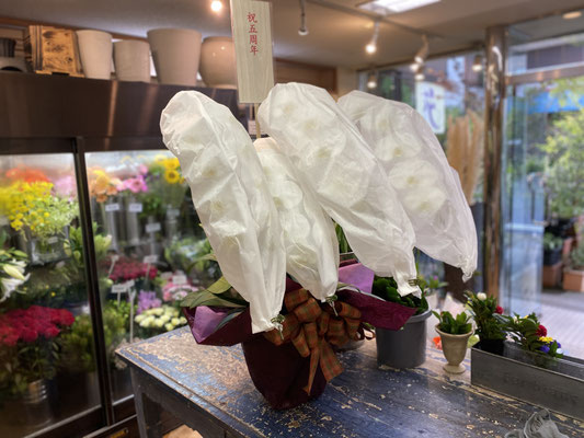 ￥38.500