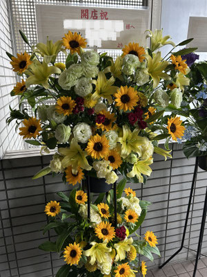 ￥22.000
