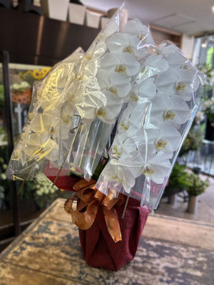 ￥18.700