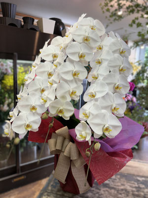 ￥28.600