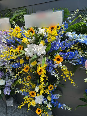 ￥33.000