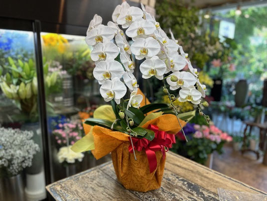 ￥22.000