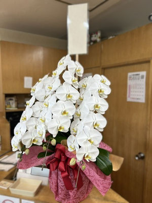 ￥22.000