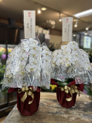 ￥19.800×２