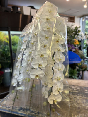 ￥38.500