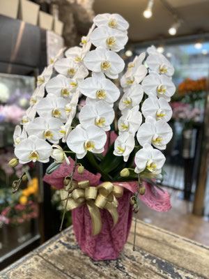 ￥26.400