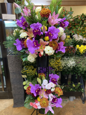 ￥22.000