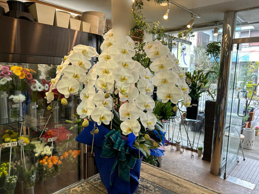 ￥38.500