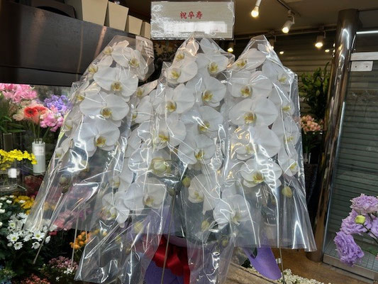 ￥38.500