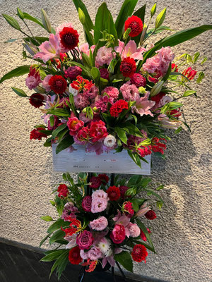 ￥22.000