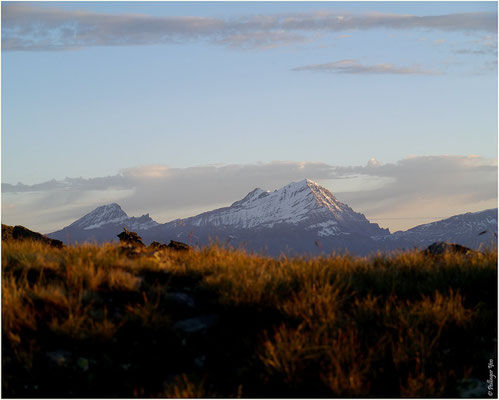 Augstbordhorn Altels