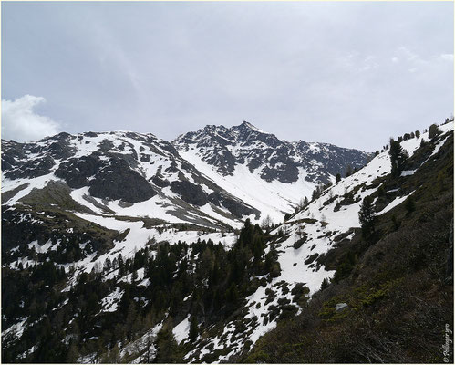 Blick zur oberen Meretschi 01.06.2014